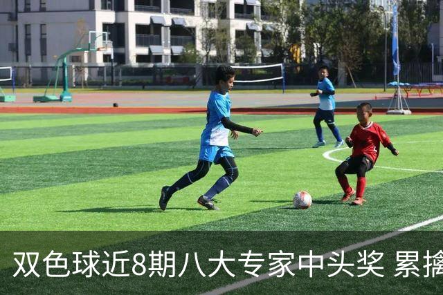 双色球近8期八大专家中头奖 累擒奖金近7千万